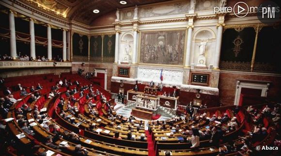 Public Sénat dévoile son dispositif pour la suite du débat autour du mariage pour tous.