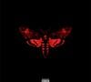 2. Lil Wayne - "I Am Not a Human Being II"