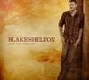 3. Blake Shelton - "Based on a True Story"