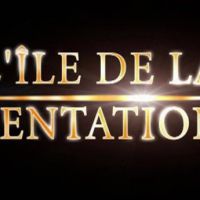 "L'Ile de la tentation" : les candidats sont des travailleurs, pas des artistes