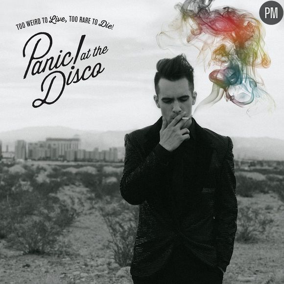 2. Panic! at the Disco - "Too Weird to Live, To Young to Die"