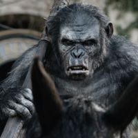 Box-office : "La planète des singes" extermine la concurrence