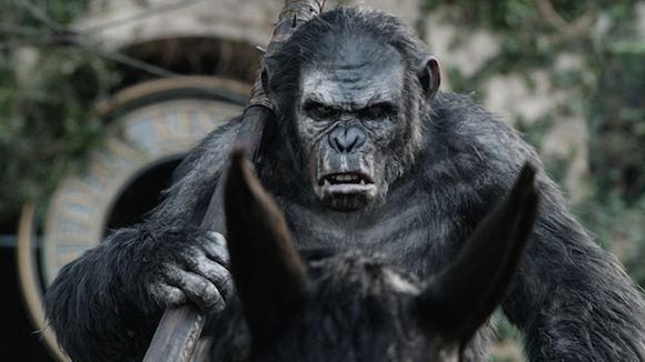 Box-office : "La planète des singes" extermine la concurrence