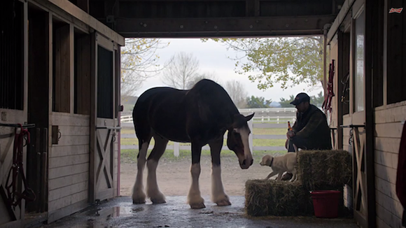 Super Bowl 2015 : Les meilleures publicités