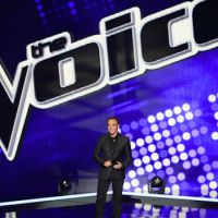 Audiences : "The Voice" devant France 3, "Le Grand show" battu par M6, "Echappées belles" en forme