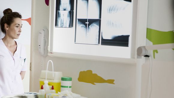 Audiences : "Les Experts" petit leader, "Nina" démarre bien, "Les Chefs contre-attaquent" en baisse