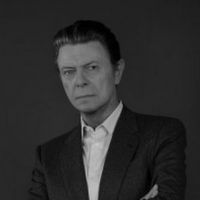 David Bowie signe le générique de "Panthers", la nouvelle série de Canal+