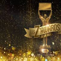 Audiences : France 2 bat "Les Z'Awards" d'Arthur sur TF1, les Chevaliers du Fiel sur D8 devancent France 3