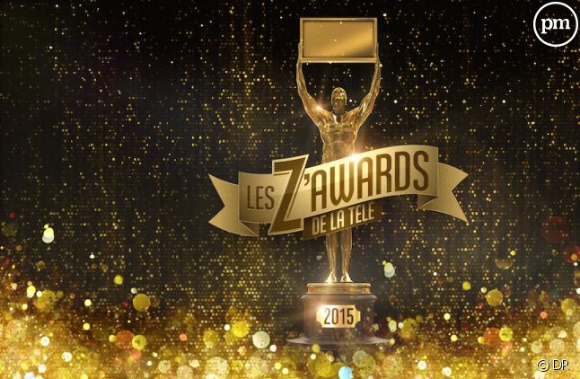"Les Z'Awards de la TV" ont-ils séduit les téléspectateurs ?