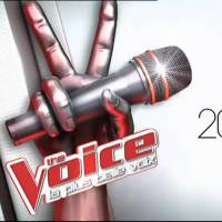 "The Voice" : La saison 5 débarque ce soir sur TF1