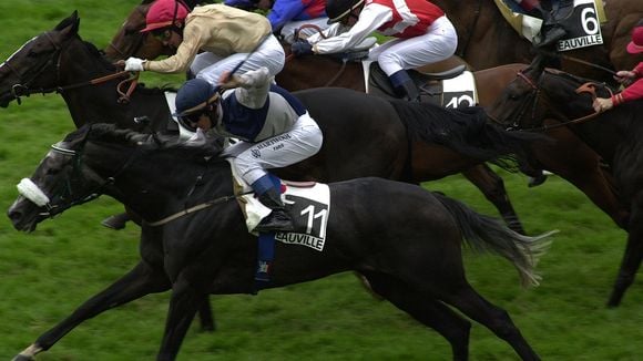 TF1 et LCI décrochent les courses hippiques