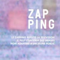 Canal+ : L'inspection du travail valide le licenciement du patron du "Zapping"