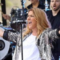 Disques : Céline Dion résiste à Norah Jones, Jean Dujardin de retour dans les charts