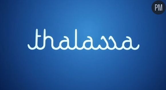 Logo de "Thalassa"