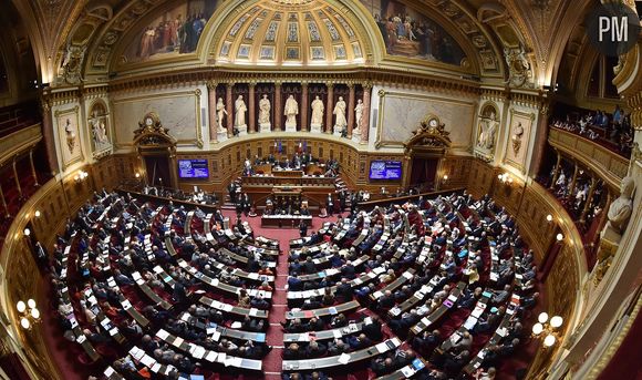 Le sénat français.