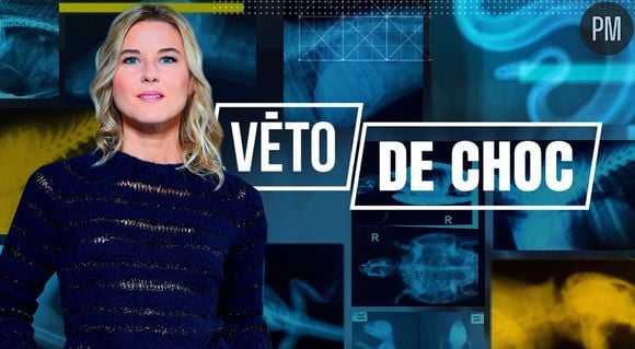 "Véto de choc"