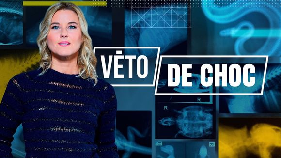 "Véto de choc" : Nouveau magazine pour Stéphanie Renouvin ce soir sur W9