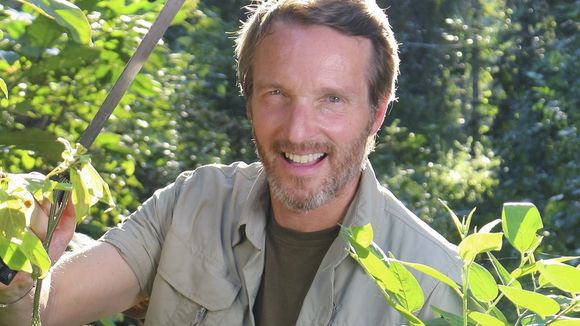 "Wild, la course de survie" : Stéphane Rotenberg aux commandes d'un nouveau jeu d'aventure sur M6