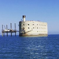 Épreuve de "l'asile" dans "Fort Boyard" : Le CSA met en garde France 2