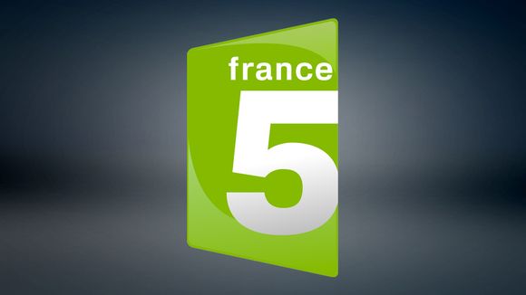 France 5 déprogramme son documentaire sur les tsunamis prévu ce soir