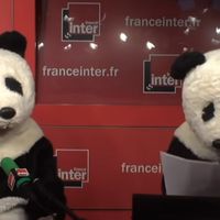 Nicolas Hulot interpellé par deux pandas sur France Inter