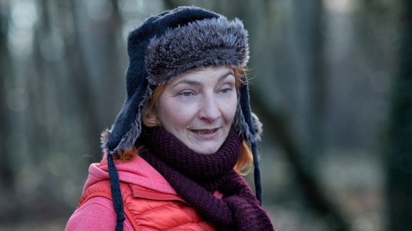 Audiences octobre : TF1 leader stable, M6 en difficulté, France 3 en grande forme