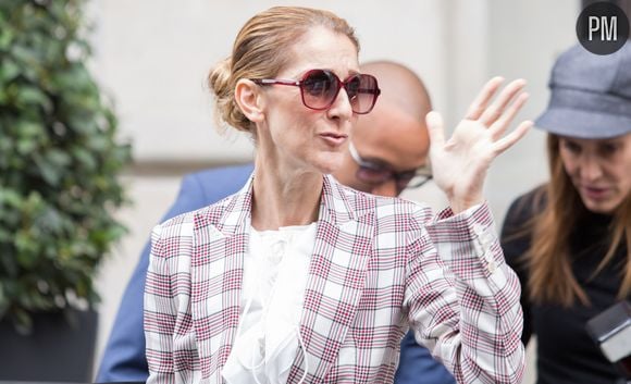 Céline Dion aura un fan inattendu dans le prochain téléfilm de France 2