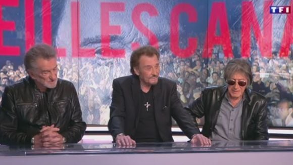 Johnny Hallyday : sa dernière interview au 20 Heures de TF1