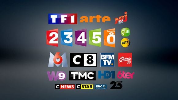 Seules trois chaînes de la TNT rentables en 2016