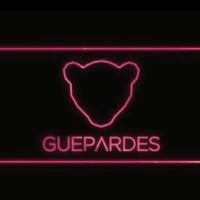 "Guépardes" : Une nouvelle série française lancée ce soir sur TF1 Séries Films