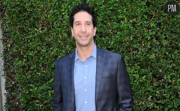 David Schwimmer