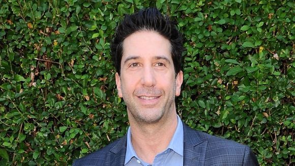 "Friends" : David Schwimmer revient avec un rôle dans "Will & Grace"