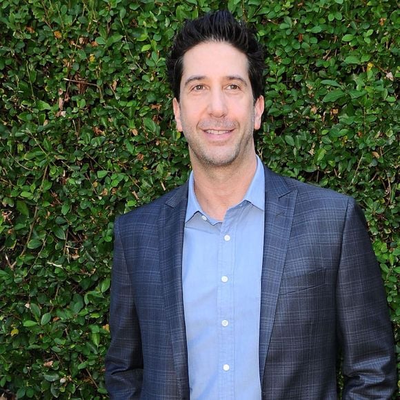 David Schwimmer