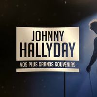 "Vos plus grands souvenirs" : Daphné Bürki célèbre Johnny Hallyday ce soir sur France 2