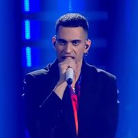 Eurovision 2019 : Matteo Salvini regrette le choix de Mahmood pour représenter l'Italie