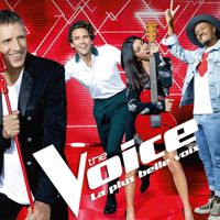 Audiences : "The Voice" leader en baisse devant "Cassandre" et le doc de F2, F4 boostée par le rugby féminin