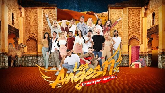 Audiences access 19h : "DNA" leader, "Chasseurs d'appart'" remonte, record pour "Les Anges" de NRJ 12