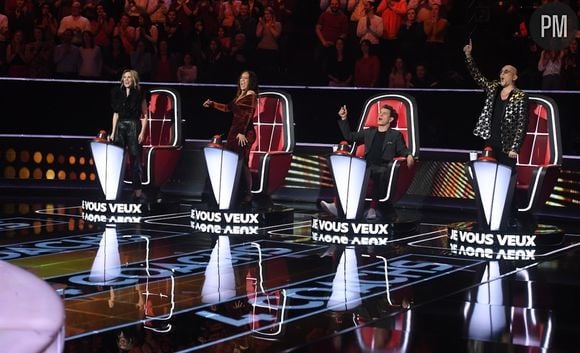 Les coachs de "The Voice" 2020