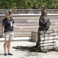 "Une saison au zoo" : La saison 12 démarre ce soir sur France 4