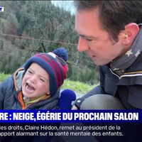 BFMTV : Une vache agitée renverse un enfant en direct