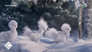 France 3 : Les célèbres marmottes remplacées par... des poules !