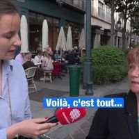 Législatives : Auteure de messages racistes, une candidate RN désinvestie après un reportage de "Quotidien"