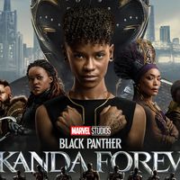 Chronologie des médias : "Black Panther 2" sortira bien dans les salles de cinéma françaises