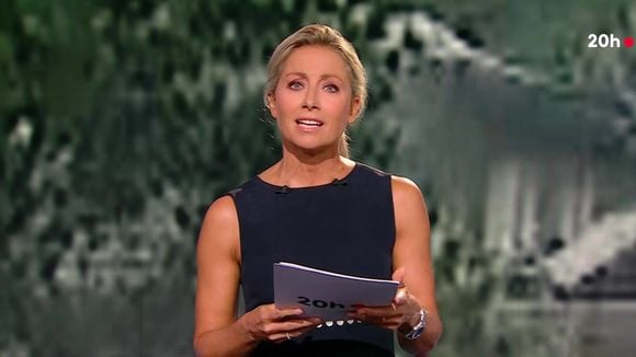 Audiences access 20h : Anne-Sophie Lapix décroche, Gilles Bouleau grimpe, 1,5 million de téléspectateurs d'écart entre les "20Heures" de TF1 et France 2