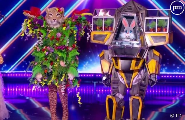 "Robolapin" a été éliminé de "Mask Singer" ce vendredi 24 mai 2024 sur TF1.