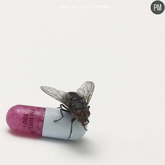 5. Red Hot Chili Peppers - I'm With You / 58.000 ventes (-75%)