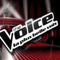 TF1 confirme Florent Pagny et Garou pour le jury de "The Voice"