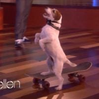 Uggie, le chien de "The Artist", fait du skateboard chez Ellen DeGeneres