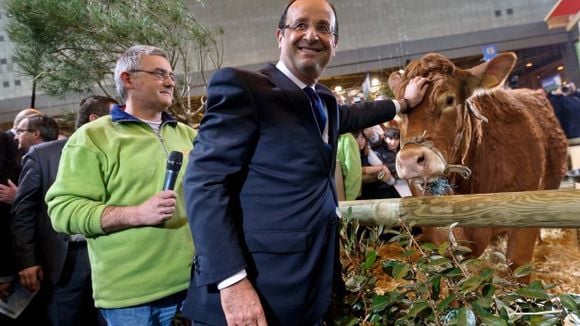 JDC-68 : Sarkozy maître d'école, Hollande tâte les vaches avant de travailler sa stature internationale