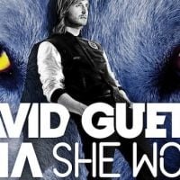 David Guetta refait équipe avec Sia pour "She Wolf (Falling To Pieces)"